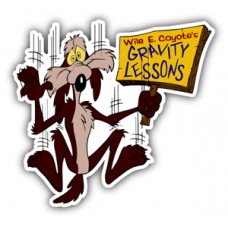 Wile E. Coyote Lessons Cartoon Car Bumper Sticker Decal - 3'' or 5''   223056691050
